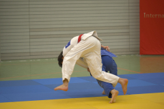 PB291578